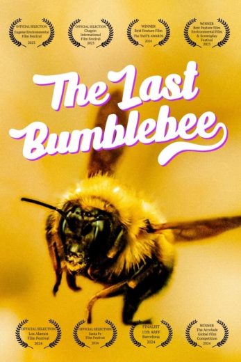 مشاهدة فيلم The Last Bumblebee 2024 مترجم